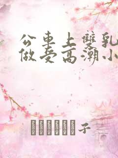 公车上双乳晃动做受高潮小说
