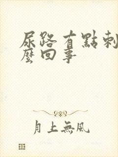 尿路有点刺痛怎么回事