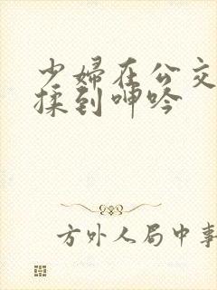 少妇在公交车被揉到呻吟