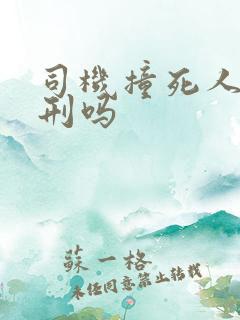 司机撞死人会判刑吗