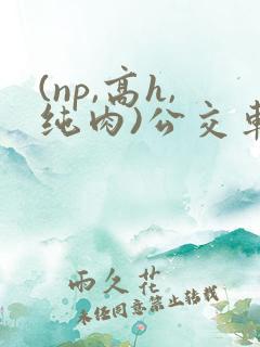 (np,高h,纯肉)公交车