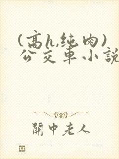 (高h,纯肉)公交车小说
