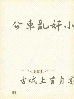 公车乱奸小说