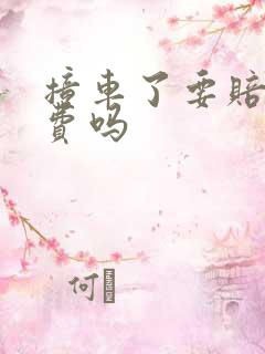 撞车了要赔误工费吗