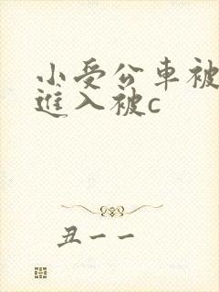 小受公车被直接进入被c