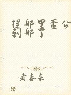 从哪里查公交车到哪了