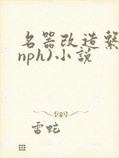 名器改造系统(nph)小说