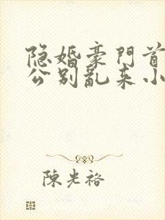 隐婚豪门首席老公别乱来小说