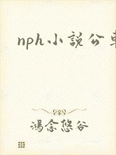 nph小说公车