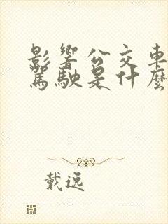 影响公交车司机驾驶是什么罪