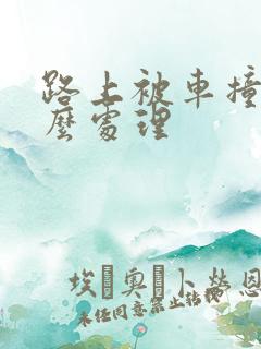 路上被车撞了怎么处理