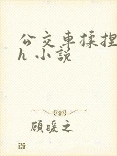 公交车揉捏花蒂h 小说
