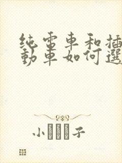 纯电车和插电混动车如何选