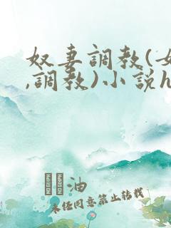 奴妻调教(女m,调教)小说hhh