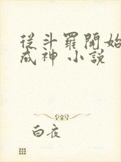 从斗罗开始逆天成神 小说