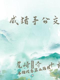 咸猪手公交车
