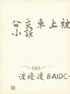 公交车上被摸了小说