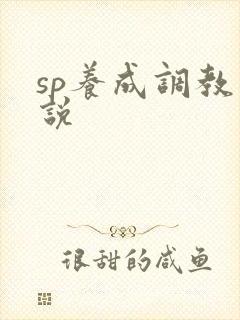 sp养成调教小说