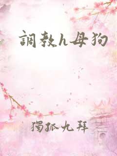 调教h母狗