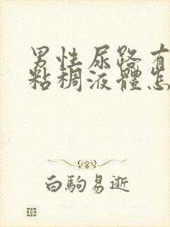 男性尿路有黄色粘稠液体怎么回事