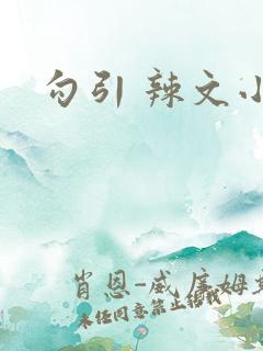 勾引 辣文小说