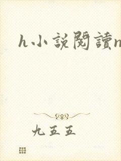 h小说阅读np