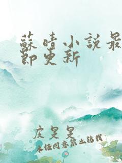苏晴小说最新章节更新
