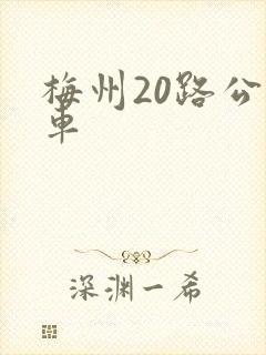 梅州20路公交车