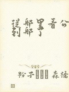 从哪里看公交车到哪了