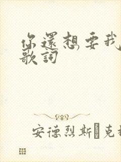 你还想要我怎样歌词
