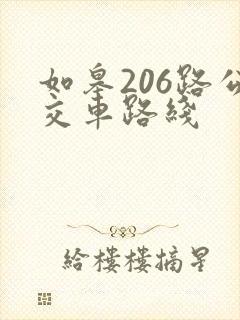如皋206路公交车路线