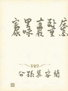 家里有卧床老人尿味严重怎么去味