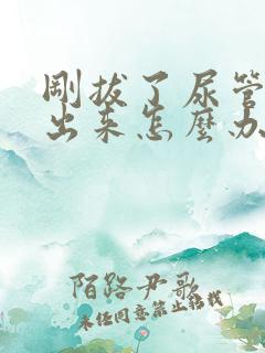 刚拔了尿管尿不出来怎么办