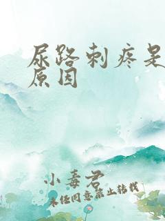 尿路刺疼是什么原因
