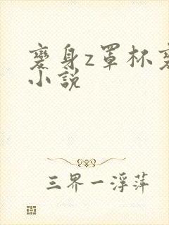 变身z罩杯变身小说