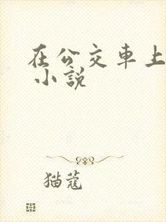 在公交车上被h 小说