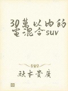 30万以内的油电混合suv