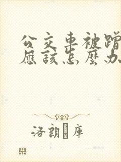 公交车被蹭了我应该怎么办