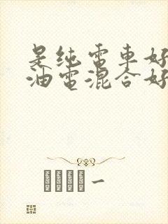 是纯电车好还是油电混合好呢