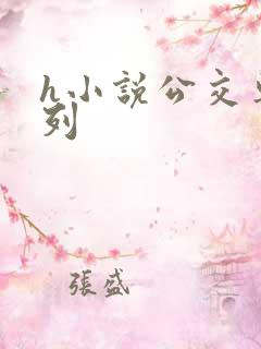 h小说公交车系列