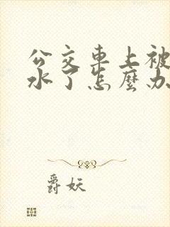 公交车上被蹭出水了怎么办