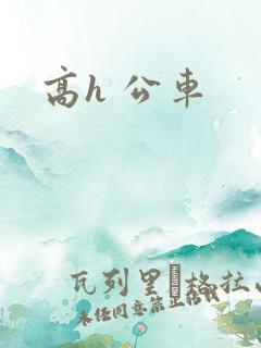 高h 公车
