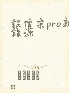 报价宋pro新能源