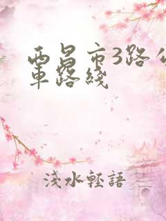 西昌市3路公交车路线
