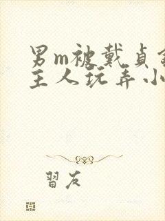 男m被戴贞锁被主人玩弄小说