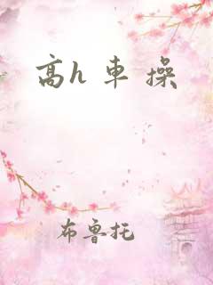 高h 车 操