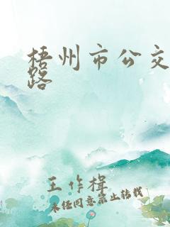 梧州市公交车线路