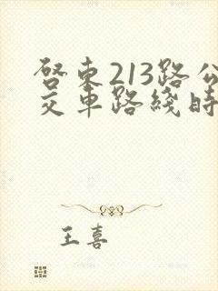 启东213路公交车路线时间表