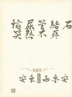 输尿管结石疼痛突然不疼