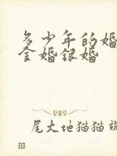 多少年的婚姻是金婚银婚